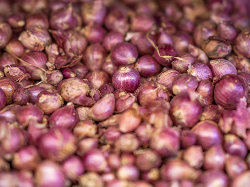 **Najbolji Proljetni Recepti: Uživajte u Svježim Okusima Sezone** - Third Image