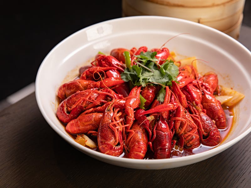 ** Ukusna Jela za Svaku Priliku** - Second Image