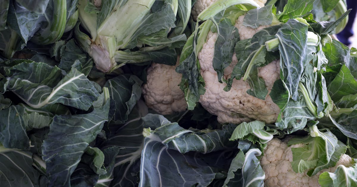 Najbolji Proljetni Recepti: Uživajte u Svježim Okusima s Mladim Povrćem i Voćem