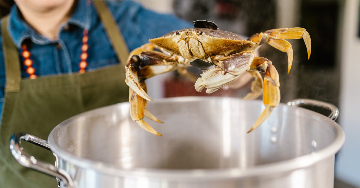 3 Najbolja Recepta Danas: Ukusna Kuhinja za Svakoga