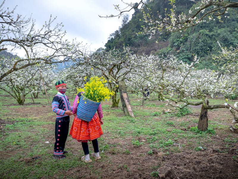 ** Oživite Tradiciju u Svojoj Kuhinji** - Third Image
