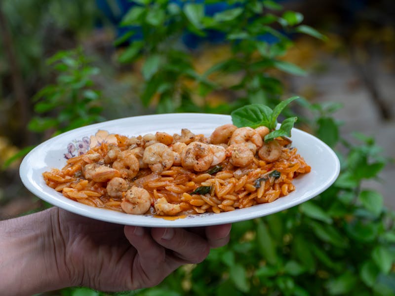 **Otkrivanje Najboljih Balkanskih Recepta: Sarma, Čevapi, Burek i Ajvar za Svaki Tanjir** - Fourth Image