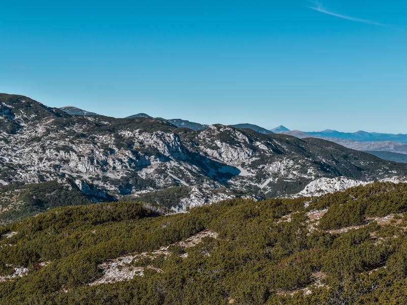 **  Brzi i Ukusni Slatkiši za Svaku Priliku u Bosni i Hercegovini** - Third Image