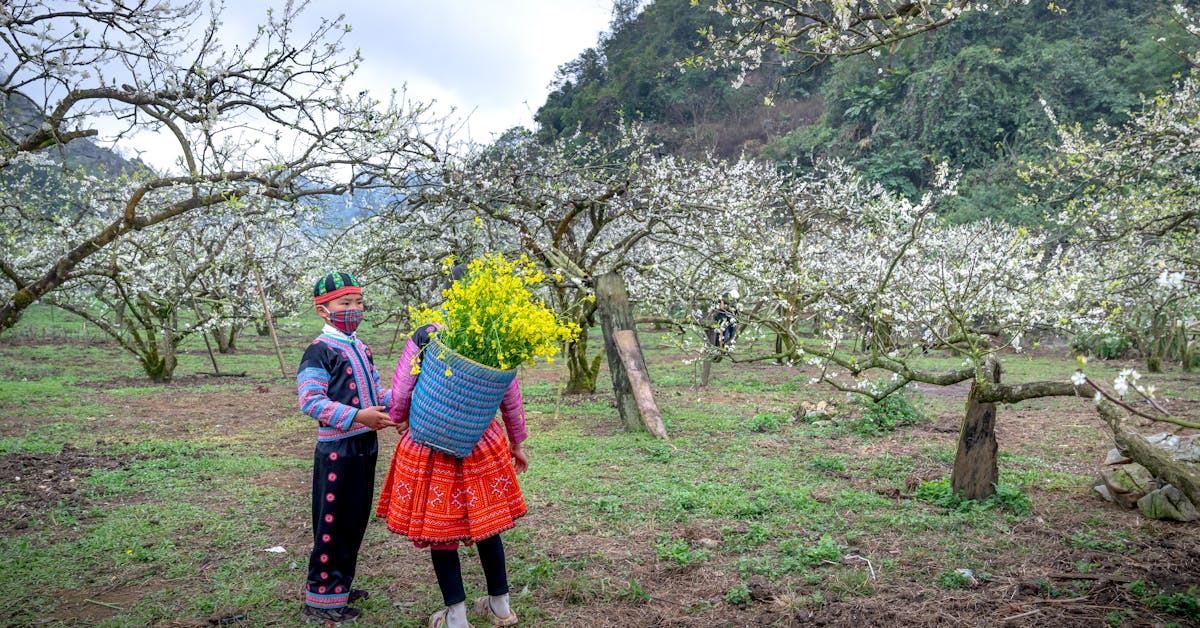 Otkrijte Ukuse Tradicije