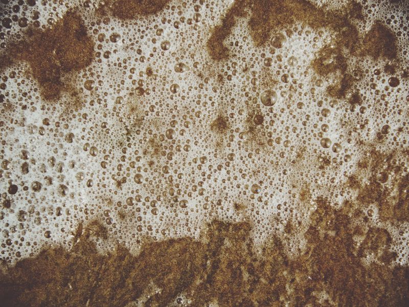 Tijesto ne raste? Provjeri svježinu kvasca, temperaturu i uvjete dizanja - Second Image